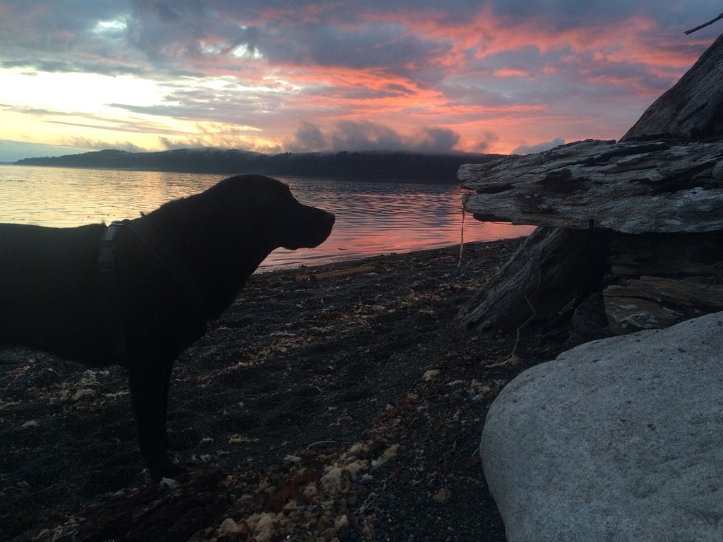 WD sunset