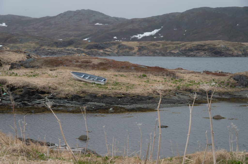 Newfoundland-goose_cove_boat