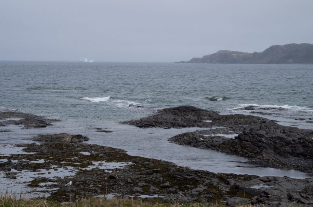 Newfoundland-iceberg_raleigh