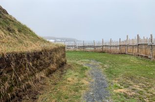 Newfoundland Part 1- Icebergs, moose and Vikings​ in the fog