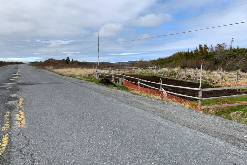 Newfoundland-roadside_garden