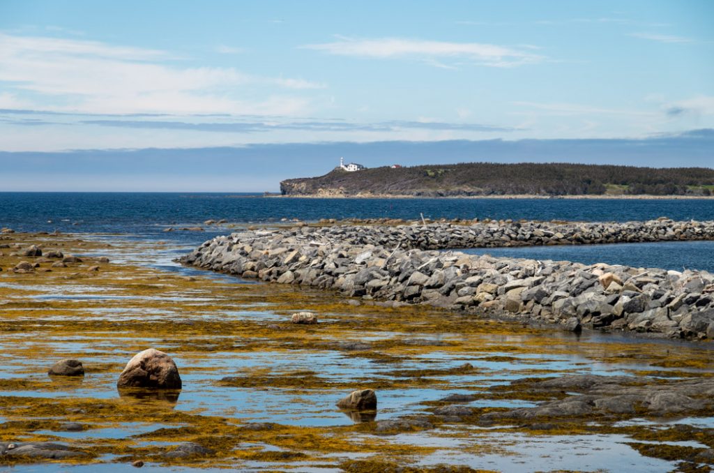 rocky_harbour_views