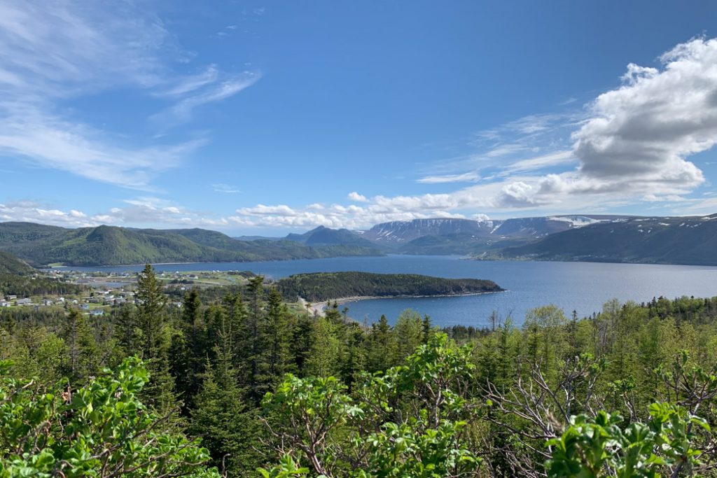 Newfoundland-view_to_tablelands