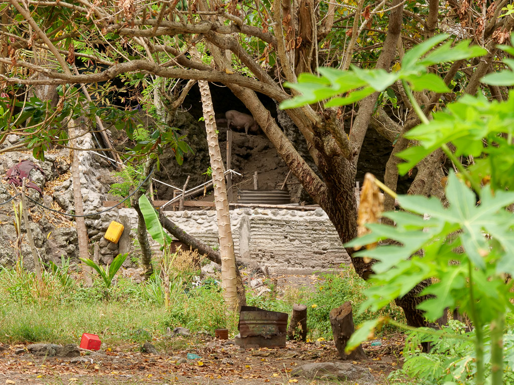 barefoot_kuata_cave_pigs