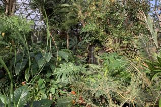 I found nature in Vancouver