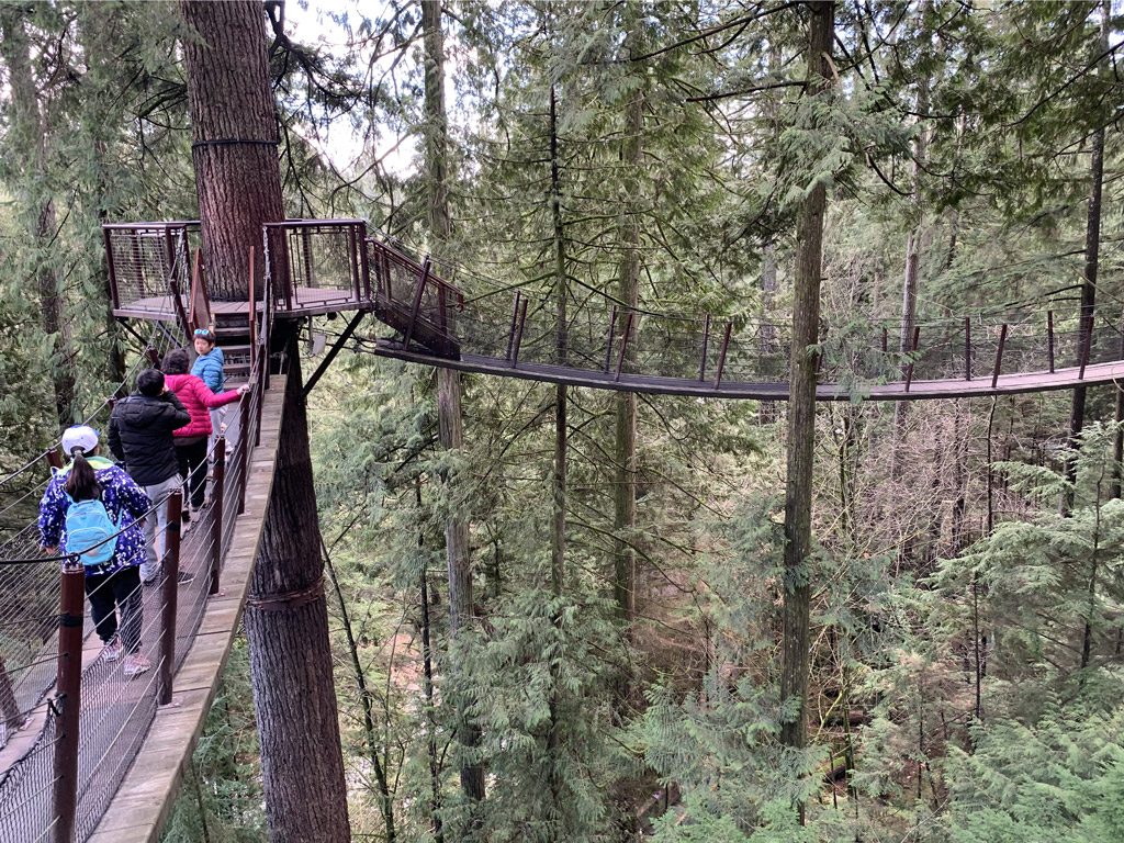 capilano_suspension_bridge_treetops_walk