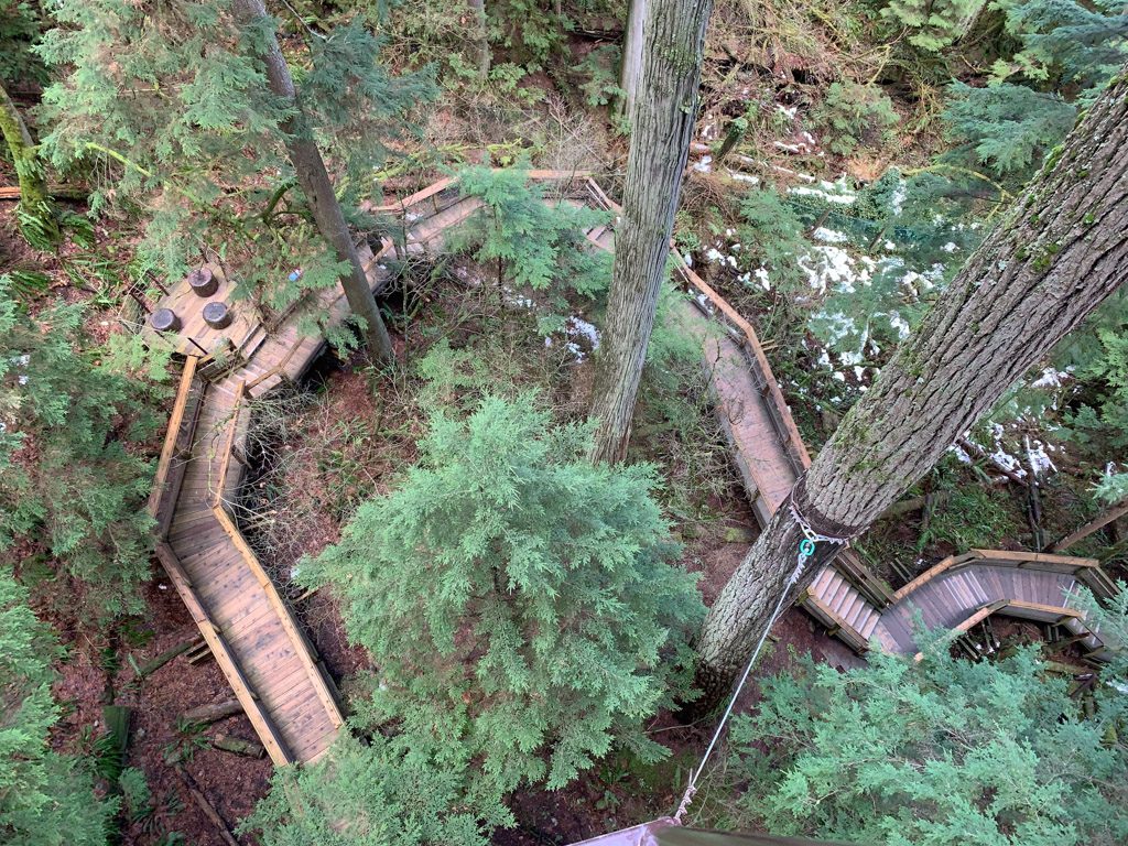 capilano_suspension_trees_below
