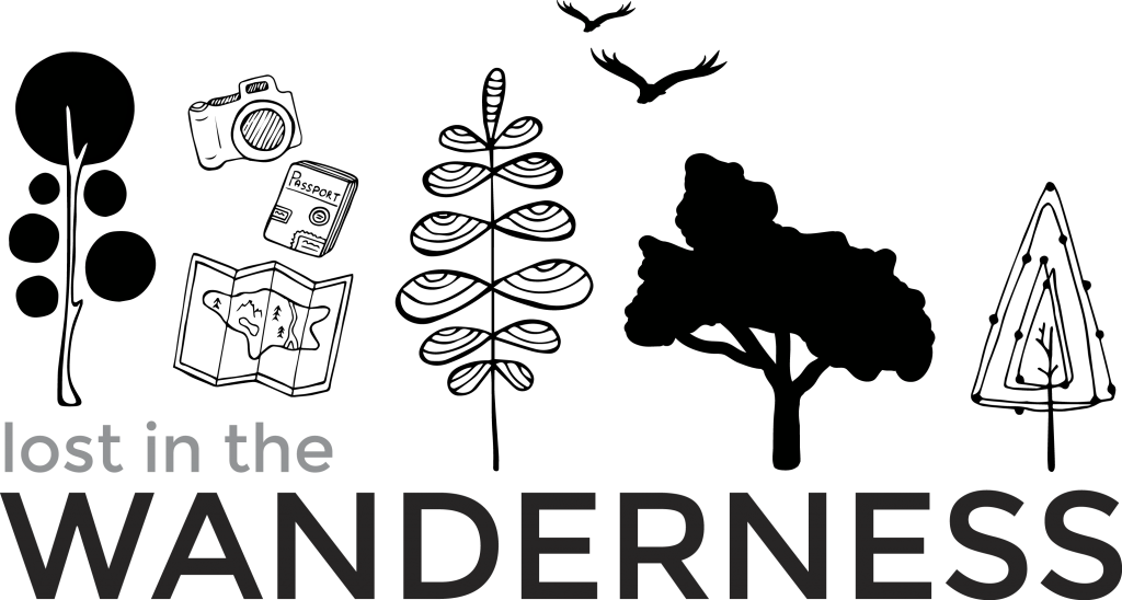 Lost in the Wanderness