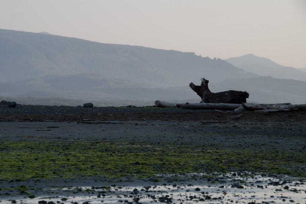 malcolm_island-beach_art