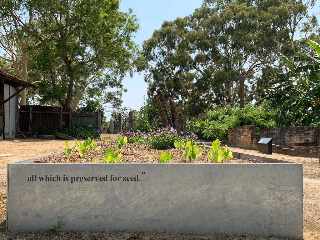parramatta_park