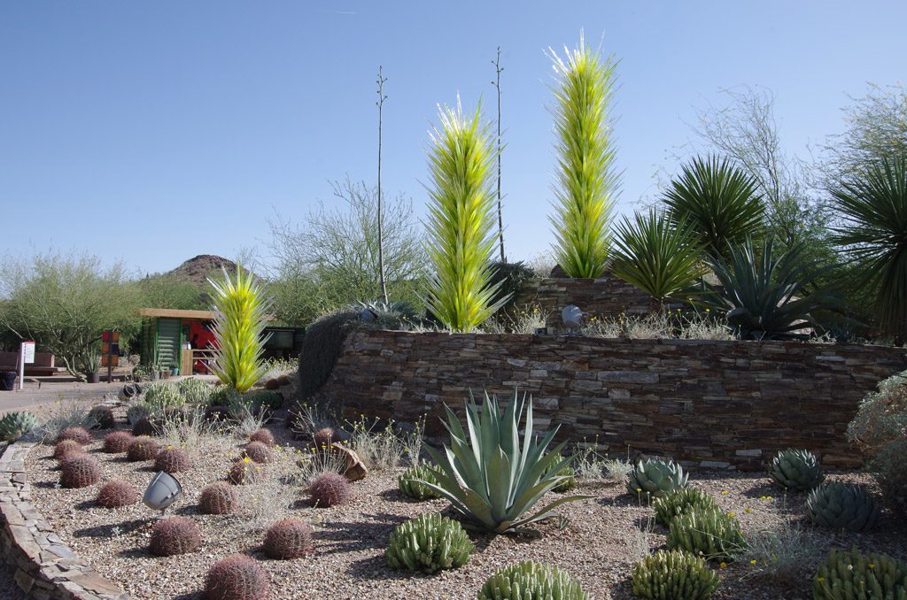 phoenix_botanical_garden1