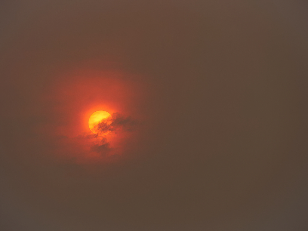 sydney_smoke_and_sun