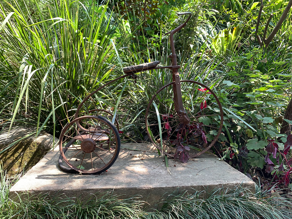 wendys_secret_garden__sydney-4